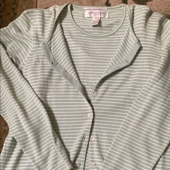 Jones New York Sweaters - Jones New York Mint Striped Knit Top set